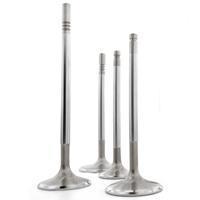 Ferrea 6000 Series Intake Valves | 1995-1998 Toyota 4AGELU 20-Valve | F6332