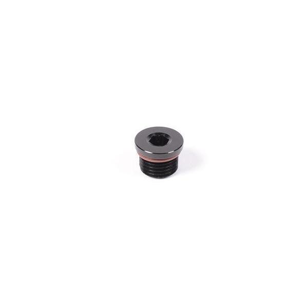 Radium Engineering 9/16-18 O-Ring Port Plug - Universal