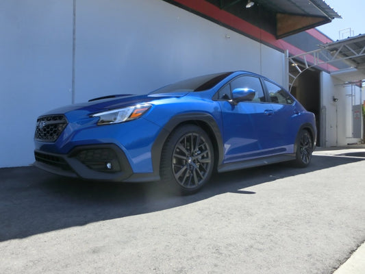 RS-R Down Sus lowering springs for the Subaru WRX, alternate view