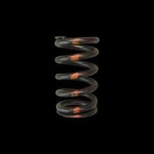 Brian Crower [13-20 BRZ] [13-20 FR-S] FA20 Single Valve Springs - Set
