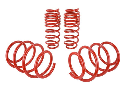 Skunk2 Racing [16-17 Civic] Lowering Springs - 1.375 in./1.25 in. Drop, Set of 4
