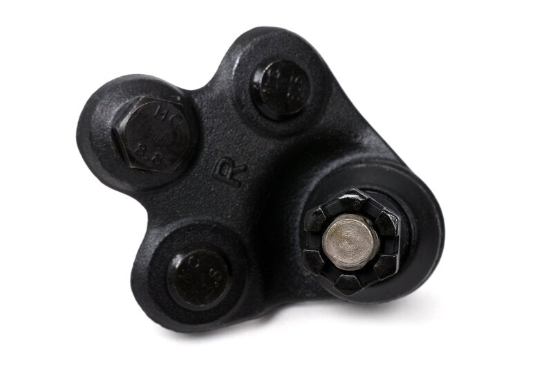 BLOX Racing [06-11 Civic] Roll Center Adjusters and Extended Front Ball Joints - Pair