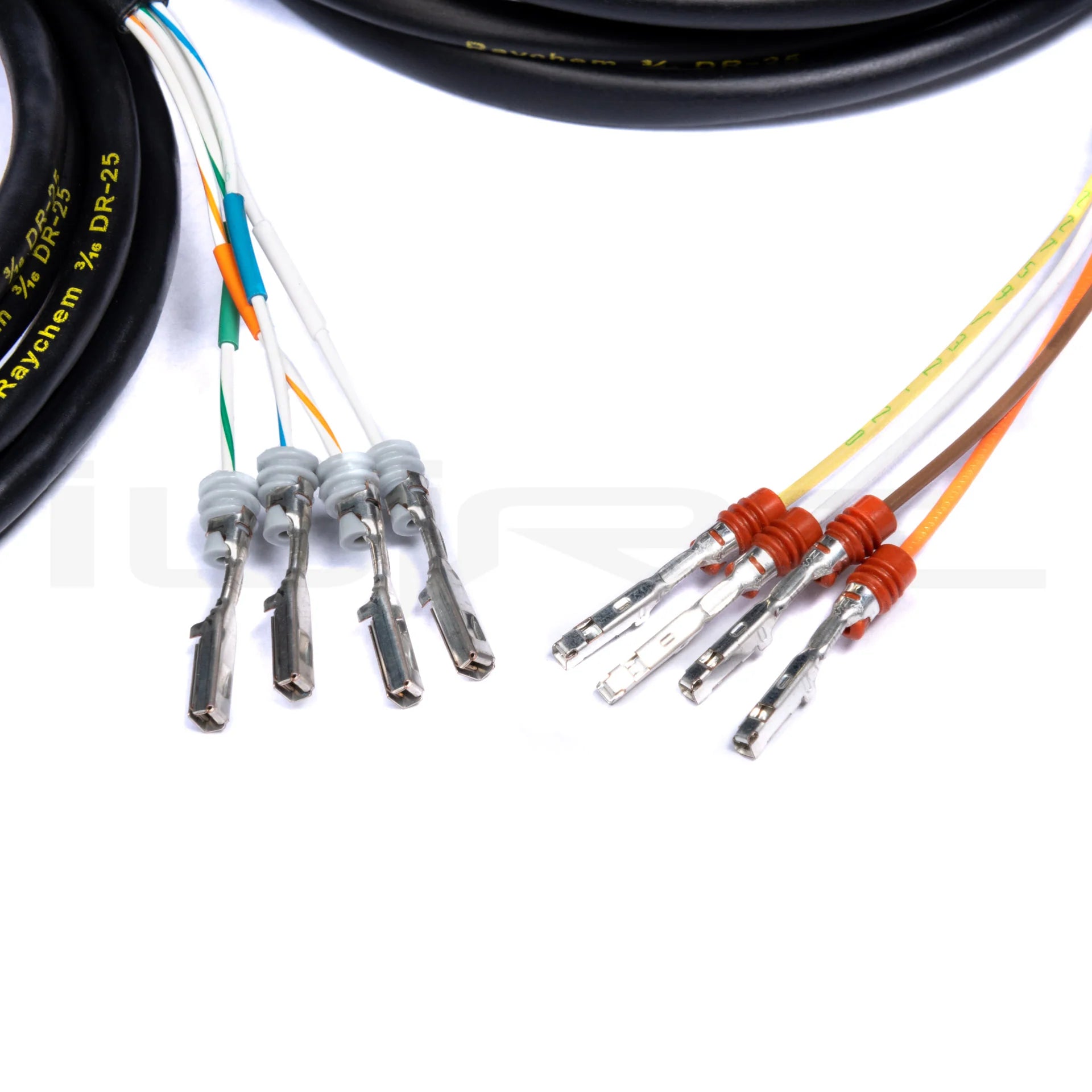 iWire Subaru AVCS Bulkhead Wiring Kit