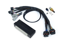 Haltech [06-10 WRX] NEXUS S3 Plug-and-Play Adapter Harness Kit - Black