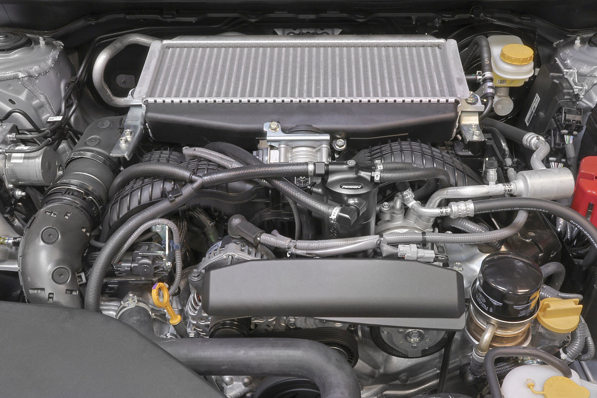 Perrin Performance [22-26 WRX] Air Oil Separator - Black