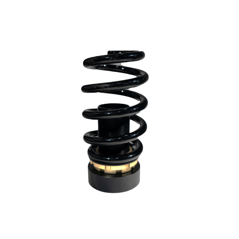 BLOX Racing [17-21 Civic Si/Hatchback] Plus Series Fully Adjustable Coilovers - 52mm
