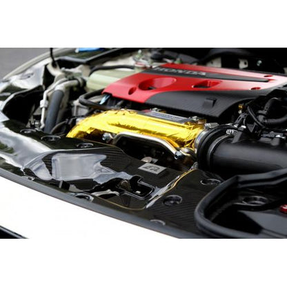 APR 17 - 21 Honda Civic Type - R Carbon Fiber Cooling Plate (Kit) | APPCF - 917022 - JDMuscleRadiator ShroudsAPPCF-917022