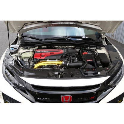 APR 17 - 21 Honda Civic Type - R Carbon Fiber Cooling Plate (Kit) | APPCF - 917022 - JDMuscleRadiator ShroudsAPPCF-917022