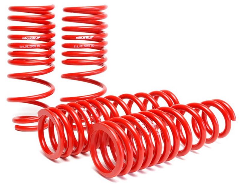 Skunk2 Racing [96-00 Civic] Lowering Springs - Black