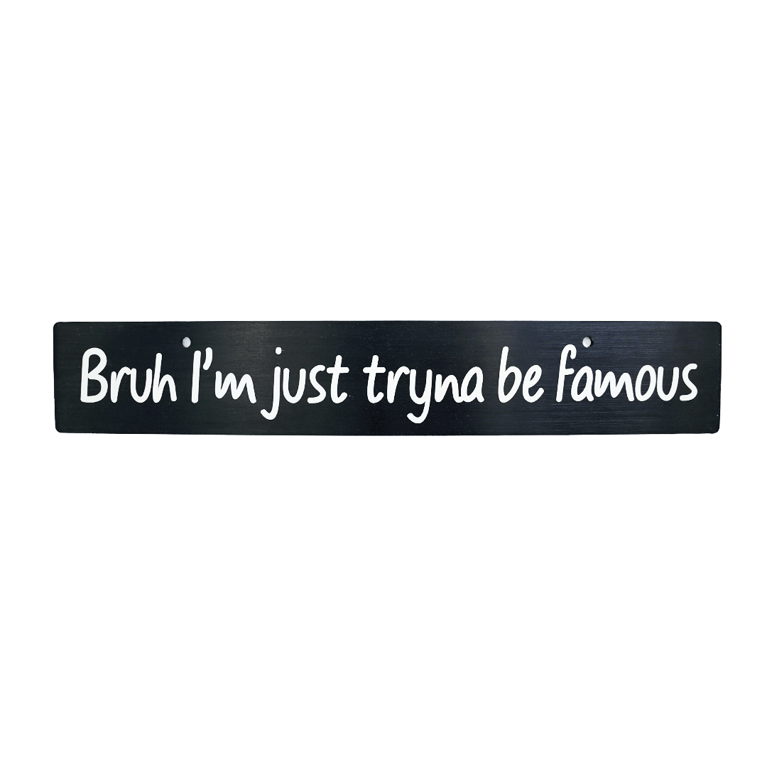 Billetworkz "Tryna Be Famous" License Plate Delete - JDMusclePlate DeletebwzBW-LPD-FAME-USUniversal Fitment: Holes 7" Apart (U.S. License Plate Mounting)