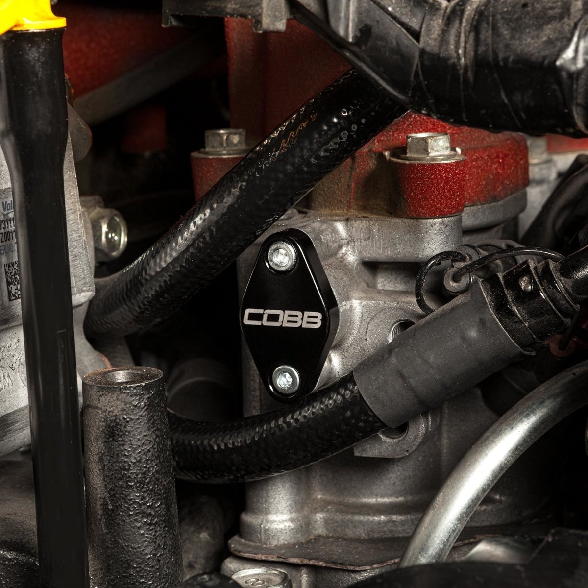 COBB 08 - 21 STI , 08 - 14 WRX , 09 - 13 FXT , 07 - 12 LGT EJ TGV Shaft Seal Kit - JDMuscleSealscobb443700