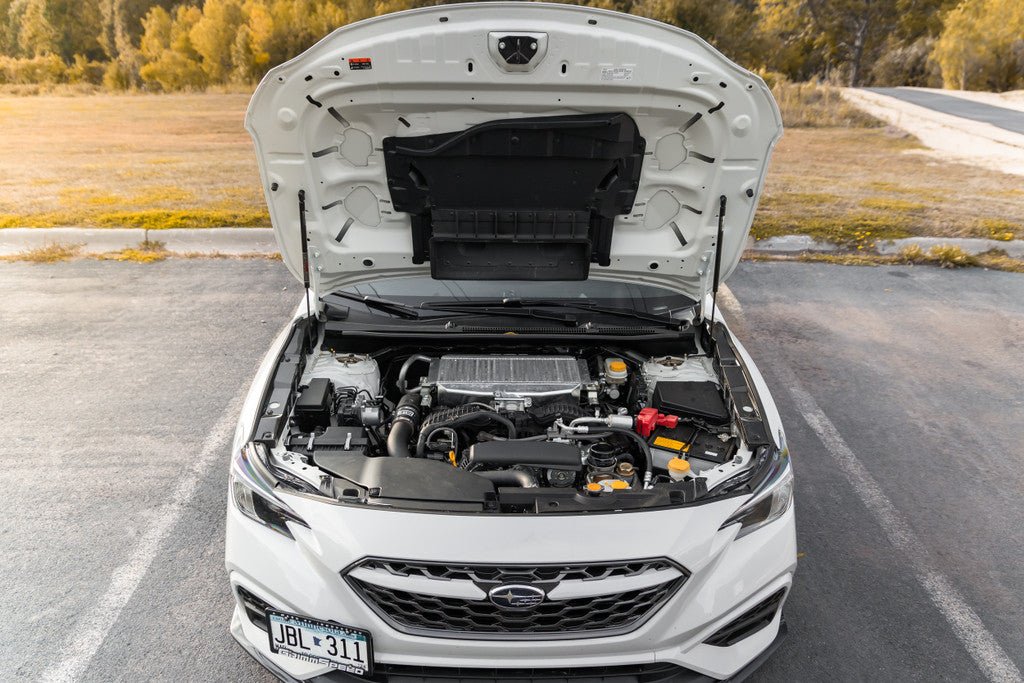 GrimmSpeed [15 - 25 WRX/ 15 - 21 STI] High Lift Hood Struts | 113072 - JDMuscleStruts And Shocksgrm113072
