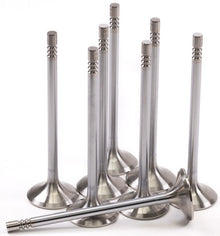 GSC P - D Ford Mustang 5.0L Coyote Gen 3 32mm Head | STD Chrome Polished Exhaust Valve - Set of 8 - JDMuscleShop the look 2gsc2161-8