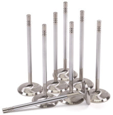 GSC P - D Ford Mustang 5.0L Coyote Gen 3 37.6mm Head | STD Chrome Polished Intake Valve - Set of 8 - JDMuscleShop the look 2gsc2162-8