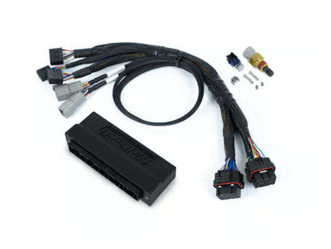 Haltech NEXUS S3 Subaru GDB WRX MY01 - 05 Plug - n - Play Adapter Harness Kit - JDMuscleECU / Fuel Rail BracketsHT-213310