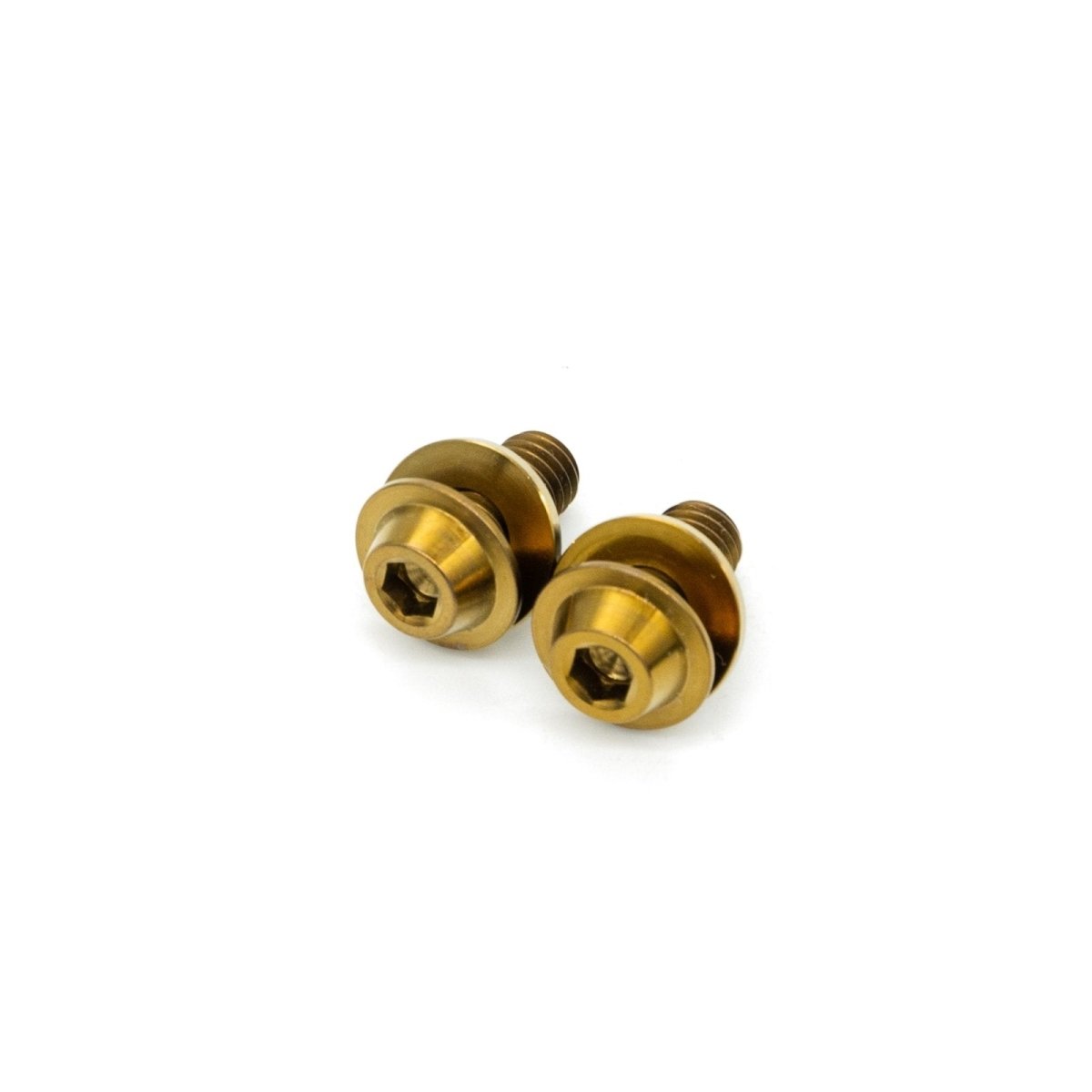 JDC Titanium Internal Wastegate Bracket Bolt Kit (Evo 4 - 9) - JDMuscleEngine Dress - UpJDC-TI-EVO49-IWGKBurnt