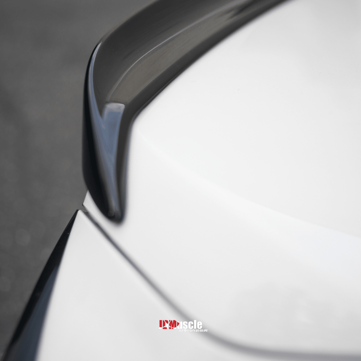 JDMuscle [22 - 26 WRX] Duck Bill / Low Profile Spoiler - OE+ Style Paint Matched - Return - JDMuscleSpoilers and WingsJDM-WRX22-DB-OE.RAW-R4SRAW ABS
