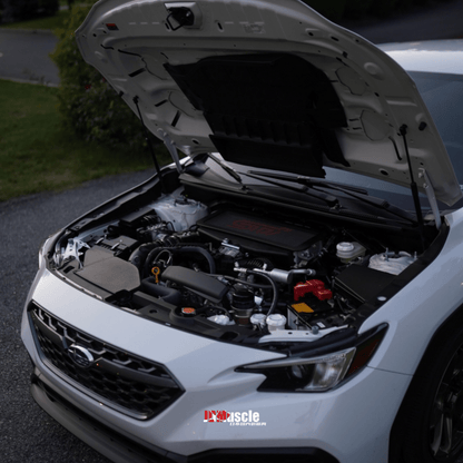 JDMuscle [22-26 WRX, 19+ Ascent, 20+ Outback, 20+ Legacy] Top Mount Intercooler Mesh Guard with WRX/STI Logo-Red/White - Return