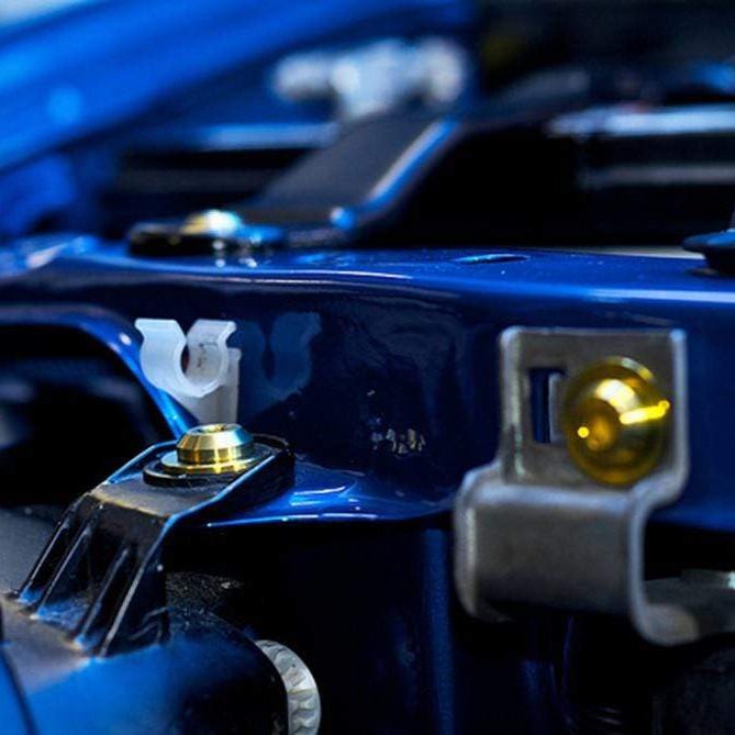 Nissan Skyline R34 (1998 - 2002) Titanium Engine Bay Kit - JDMuscleHardware KitsNIS-034-Ti-GLDGold