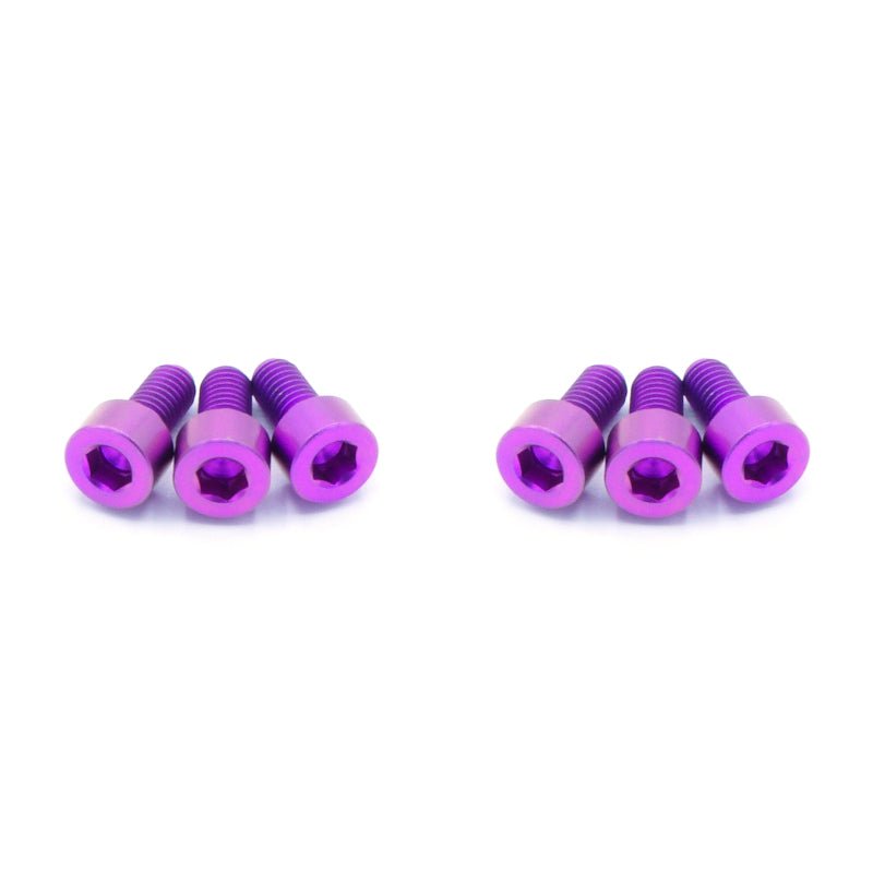Nissan SR20DET Titanium Coil Pack Cover Kit - JDMuscleHardware KitsNIS-043-Ti-PRPPurple