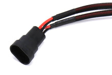 OLM 9005 splitter - JDMuscleOLMOLM-9005-SPLIT