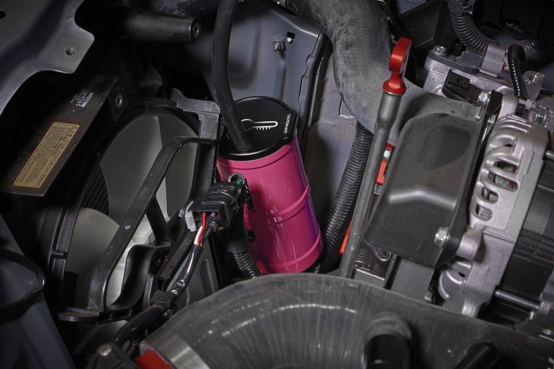 Perrin Performance Hyper Pink Coolant Overflow Tank [Universal] - JDMuscleOverflow Tanks / Coolant Tank and AccessoriesperASM-ENG-505HP
