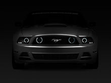 Raxiom 13 - 14 Ford Mustang GT CCFL Halo Fog Lights | Smoked - JDMuscleShop the look 2rax49177
