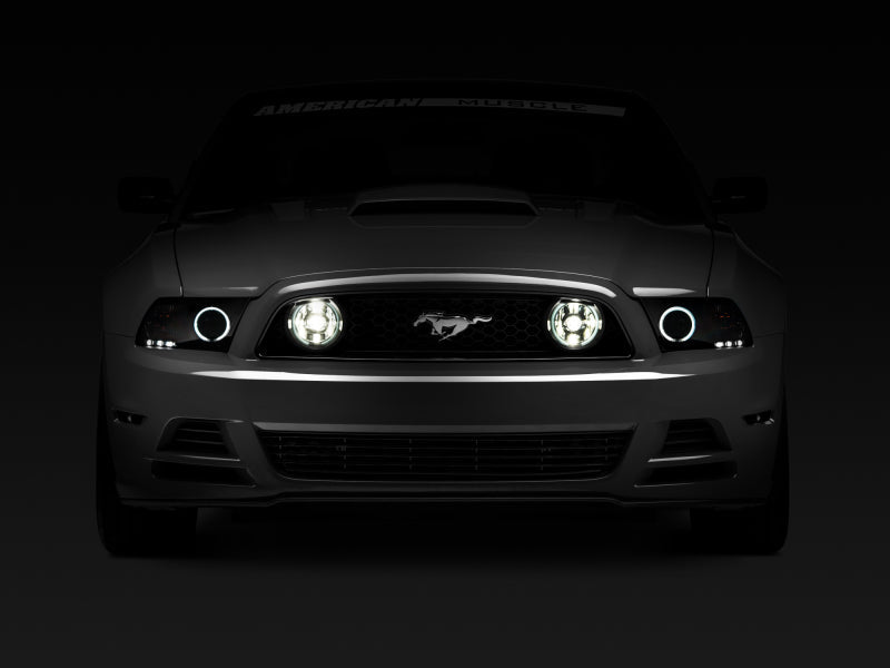 Raxiom 13 - 14 Ford Mustang GT CCFL Halo Fog Lights | Smoked - JDMuscleShop the look 2rax49177