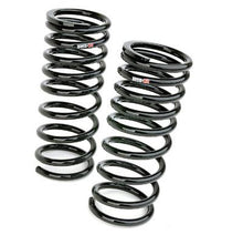 RS - R TI2000 Down Suspension Springs for Nissan GT - R 09+ - Enhances Handling and Ride Quality | rsrN350TD - JDMuscleSPK4402526