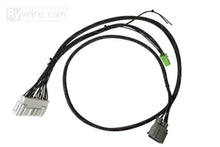 Rywire [96-98 Civic] Chassis-Specific Adapter - 2A - JDMuscleEngine Management HarnessesrywRY-B-SUB-EK-2A