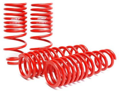 Skunk2 Racing [93-97 del Sol][92-95 Civic] Lowering Spring Set - Black - JDMuscleLowering Springsskk519-05-1480