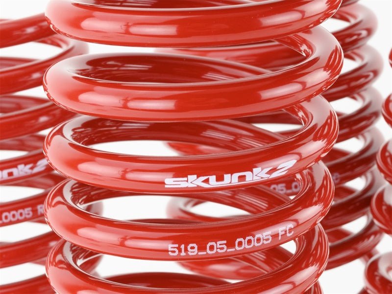Skunk2 Racing [96-00 Civic] Lowering Springs - Black - JDMuscleLowering Springsskk519-05-1550