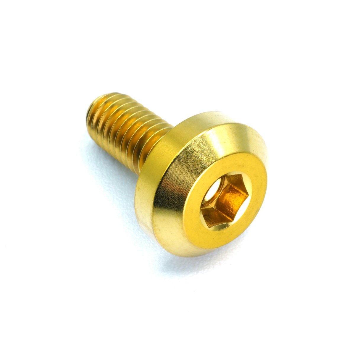 Titanium Hardware Door Kit - Nissan 300ZX (1990 - 1999) - JDMuscleHardware KitsNIS-064-Ti-GLDGold