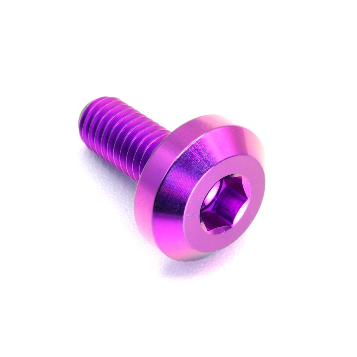 Titanium Hardware Door Kit - Nissan 300ZX (1990 - 1999) - JDMuscleHardware KitsNIS-064-Ti-PRPPurple
