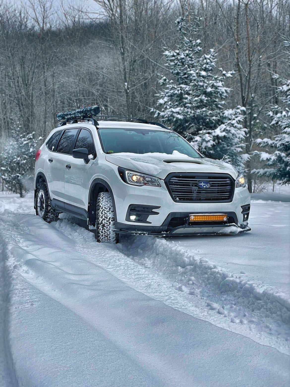 LXT Ascent Smart Bundle