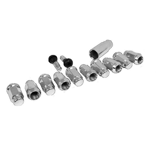 Race Star 14mmx1.50 Acorn Closed End Deluxe Lug Kit - 10 PK | 602-2428-10