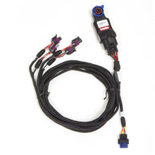 Banks Power Super Gauge 5 Ch Analog with Frequency Module System Universal | 66554