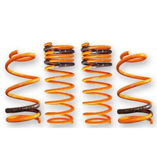 ARK GT-F Lowering Springs | 2008-2011 Mitsubishi Evolution X | LF1800-0600
