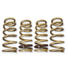ARK Performance GT-S Lowering Springs | 2000-2009 Honda S2000 | LS0600-0105