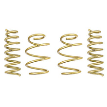 ARK Performance GT-S Lowering Springs | 2018-2019 Genesis G70 | LS1601-0218