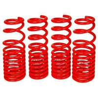 BLOX Racing Lowering Springs 96-00 Honda Civic
