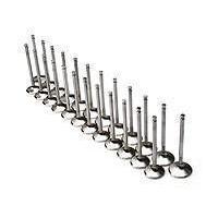 Brian Crower Intake Valves for Lexus IS300