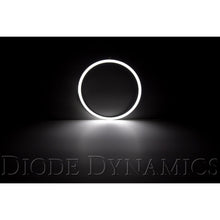 Diode Dynamics Halo Lights LED 185mm Switchback Single