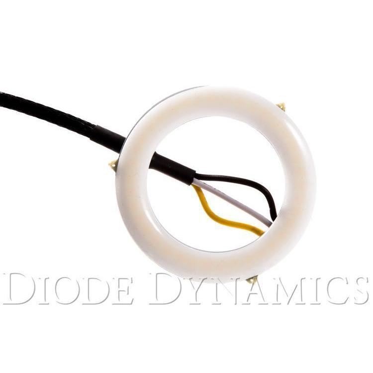 Diode Dynamics Halo Lights LED 50mm Blue Pair-DD2034-Lighting-Diode Dynamics-JDMuscle
