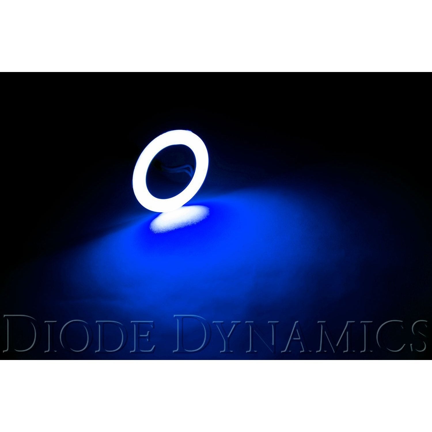 Diode Dynamics Halo Lights LED 50mm Blue Single-DD2034S-Lighting-Diode Dynamics-JDMuscle