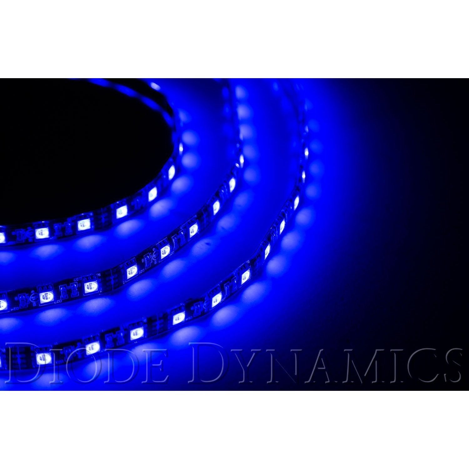 Diode Dynamics LED Strip Lights Blue 50cm Strip SMD30 WP-DD2200-Lighting-Diode Dynamics-JDMuscle