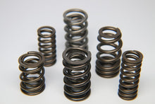 Ferrea 317lbs Rate Inch Dual Valve Spring Set of 16 Subaru EJ20 | S10071 - JDMuscleValve SpringsferS10071