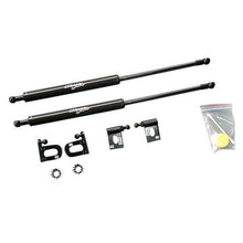 Greddy Hood Dampers Mitsubishi Evolution X 2008-2015 | 18530101