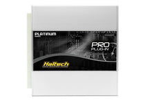 Haltech 01 - 05 Subaru GDB WRX | Manual Trans Only Platinum PRO Direct Plug - In Kit - JDMuscleNon - CategorizedhalHT-055174