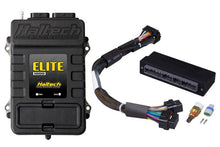 Haltech 93 - 96 WRX/Liberty RS Elite 1000 Plug - n - Play Adaptor Harness ECU Kit - JDMuscleNon - CategorizedhalHT-150820